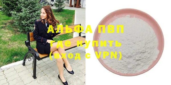 apvp Каменногорск